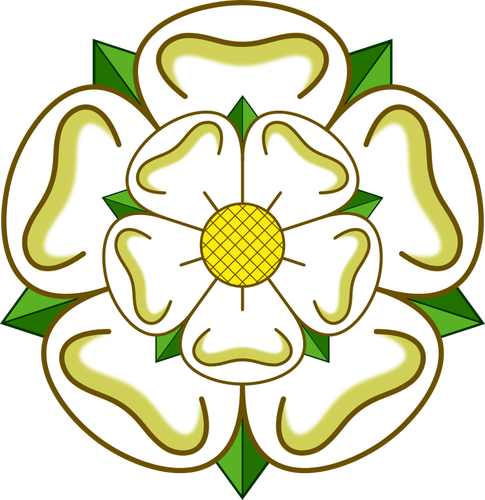 Rosa di Yorkshire