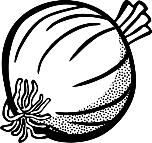 Obrázek z cibule v černé a bílé