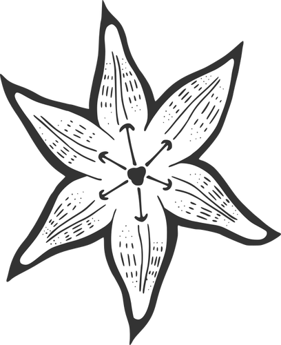 Decoratieve lily vector afbeelding