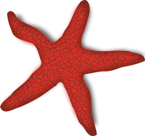 Vector graphics of red starfish