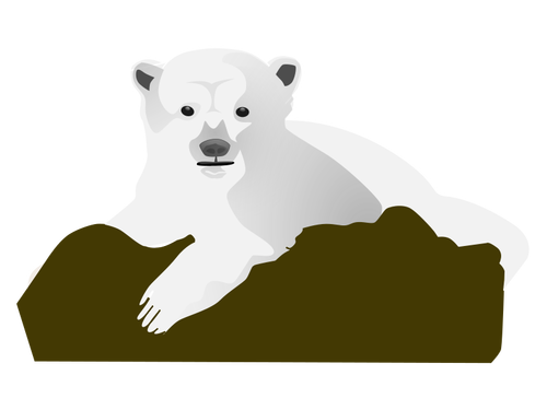 Orso polare vettoriale immagine