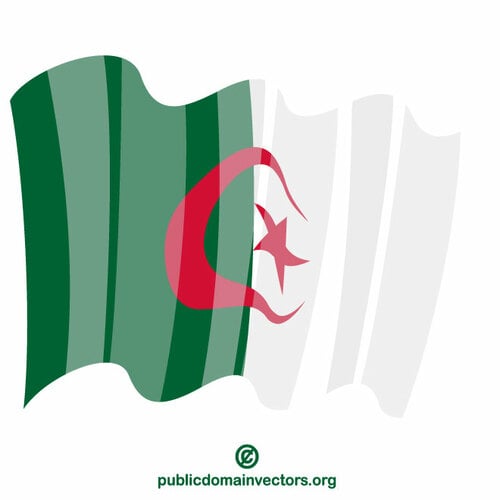 अल्जीरिया का झंडा लहराते हुए