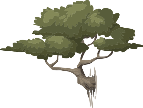 बोनसाई पेड़