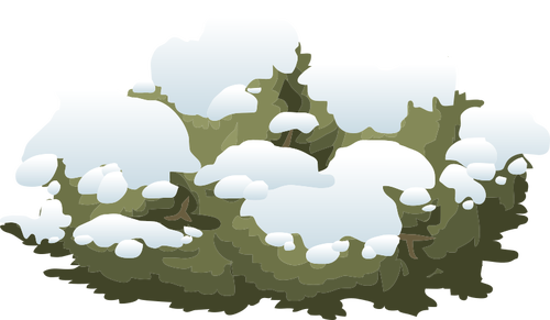Image vectorielle bush neigeux