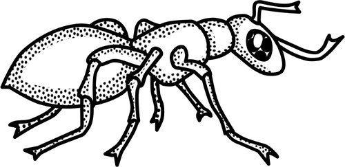 Vetor desenho de formiga manchada de preto e branca