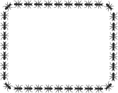 Dibujo de frontera rectangular hormiga patrón vectorial