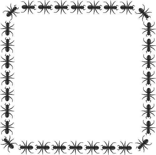 Vector graphics of ant pattern square border