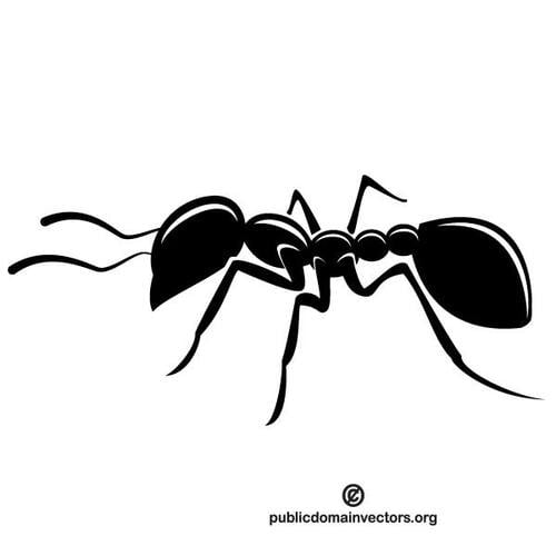 Zwart-wit beeld van de mier