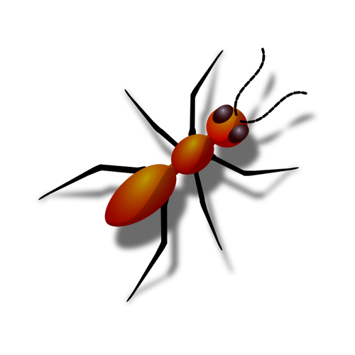 Karınca resim