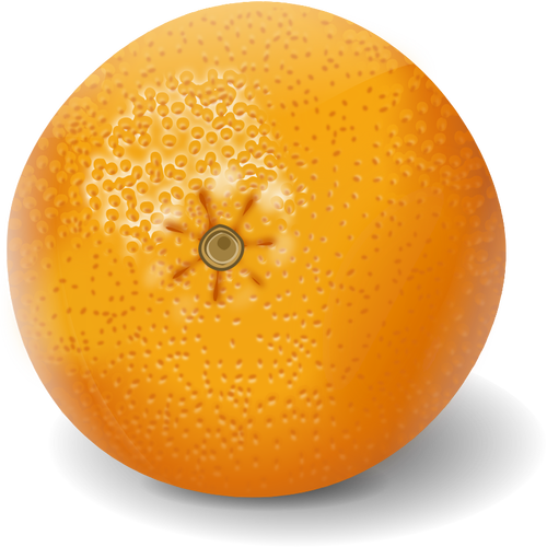 Oransje frukt utklipp