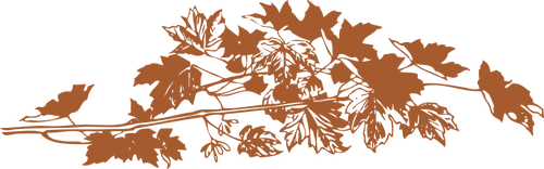 Vectorillustratie van bruin Herfstbladeren
