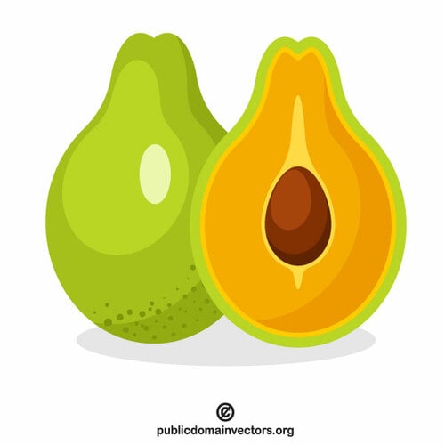 Avocado-vrucht