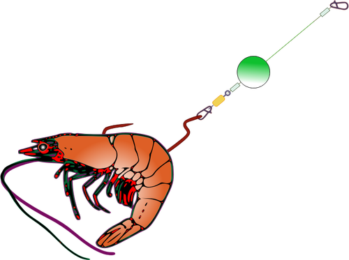 Fishing bait with shrimp