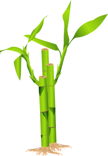 Closeup bambu tangkai vektor ilustrasi