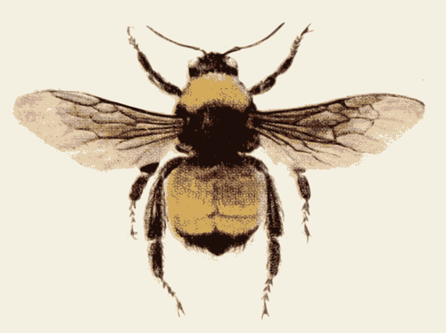 Gambar retro lebah