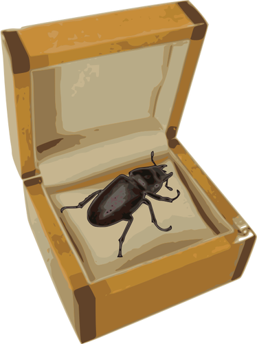 Beetle dalam kotak vektor gambar