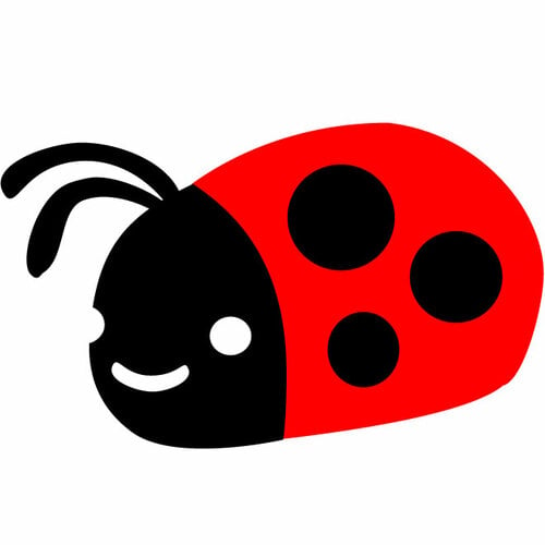 Ladybug insekt