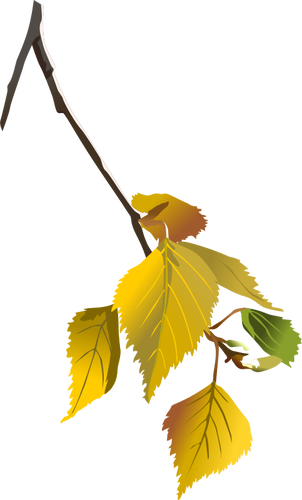 Tree branch in autumn vector drawing