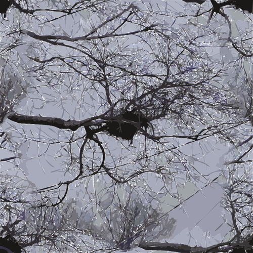 बिजली लाइनों के ऊपर के साथ पेड़ की शाखाओं पर पक्षी घोंसला की छवि