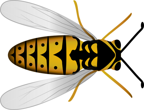 Lebah atas tampilan