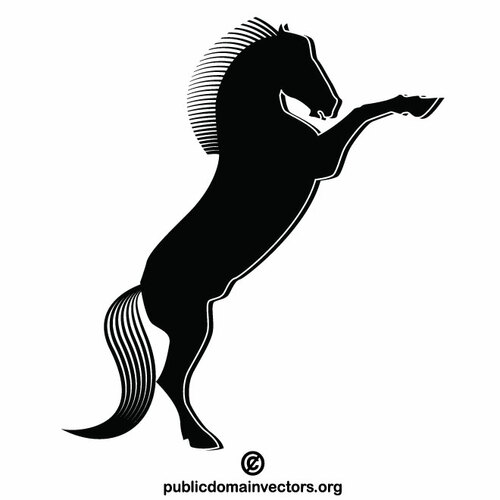 Black stallion horse