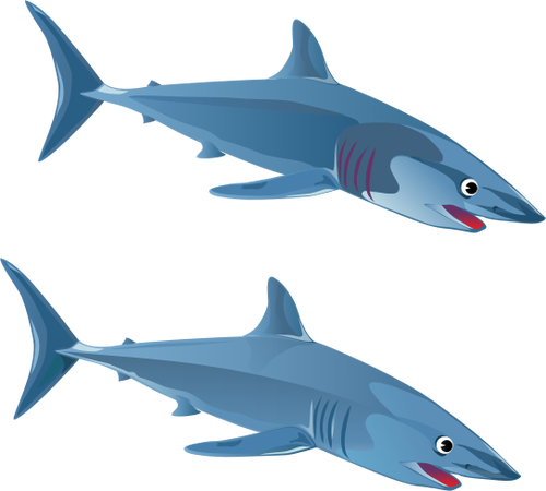 Zwei Haie