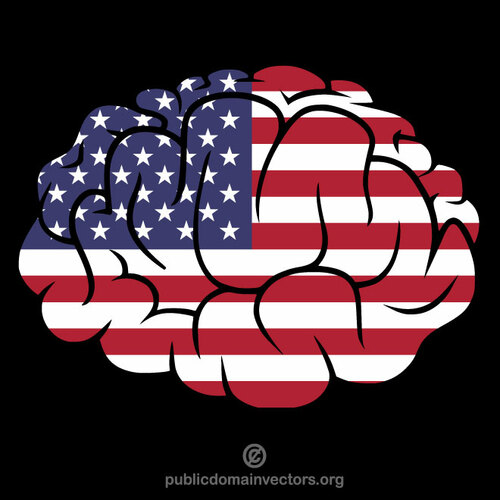 الدماغ مع العلم الأمريكي