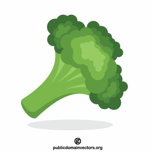 Broccoli grönsaker