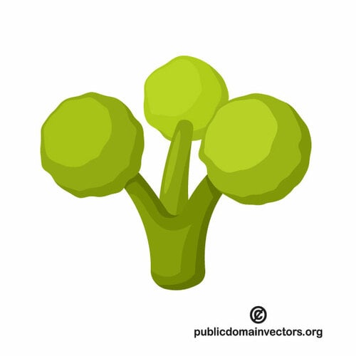 Broccoli vector illustraties
