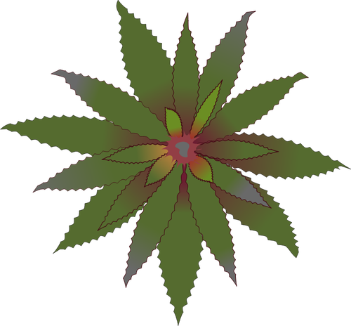 Grønn blomst Bromelia