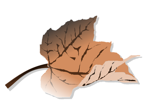Brązowy jesień liść wektor clipart