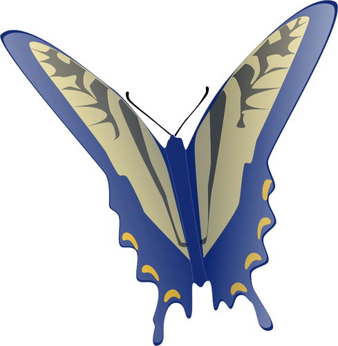 블루 나비