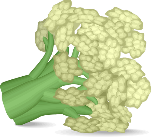 Ícone de couve-flor