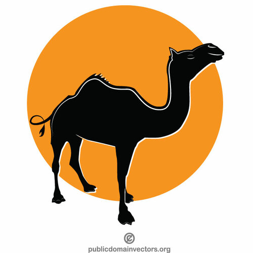 Image de silhouette de chameau