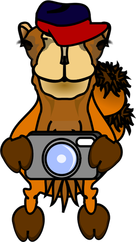 Wielbłąd fotograf