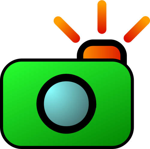Fargerike kamera og bilder ikonet vector illustrasjon