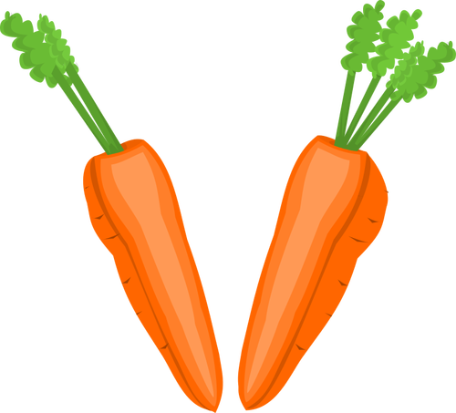 Moitiés de carotte