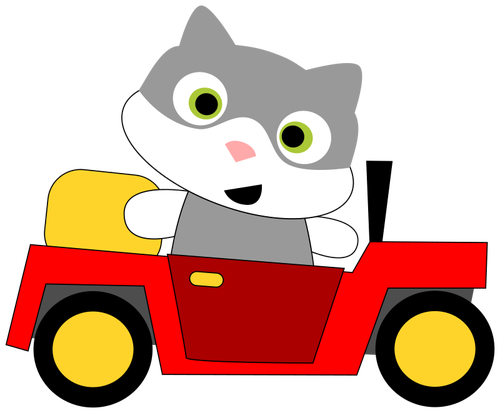 Gato, dirigindo um carro