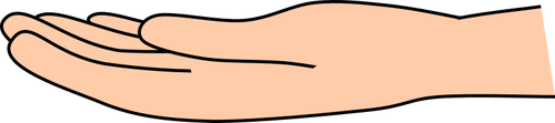 Open hand palm