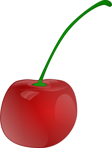 Grafica vettoriale fotorealistica di ciliegia
