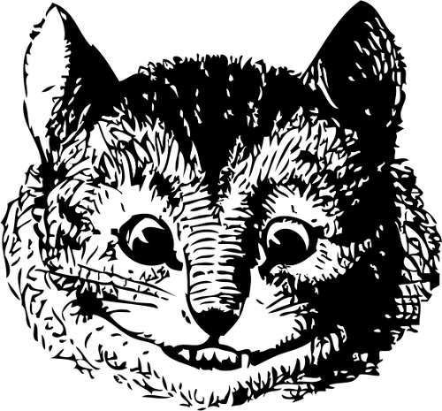Cheshire-kissa Liisasta ihmemaassa