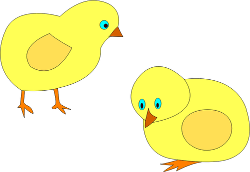 Векторное изображение двух желтых цыплят, роуминг вокруг