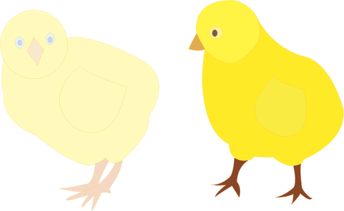 Vector afbeelding van twee kuikens in verschillende tinten van geel