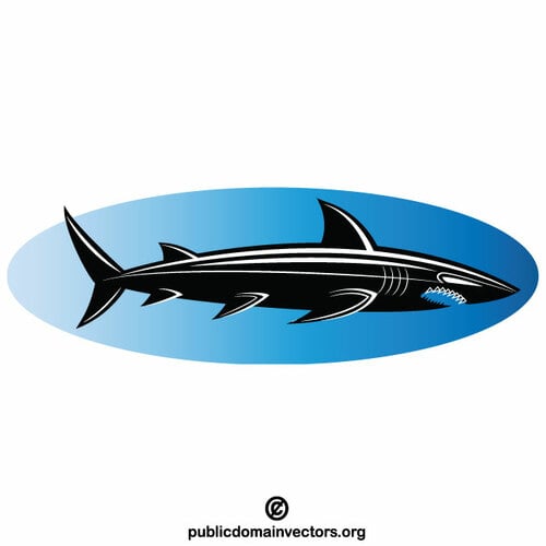 Gefährliche Hai-Silhouette