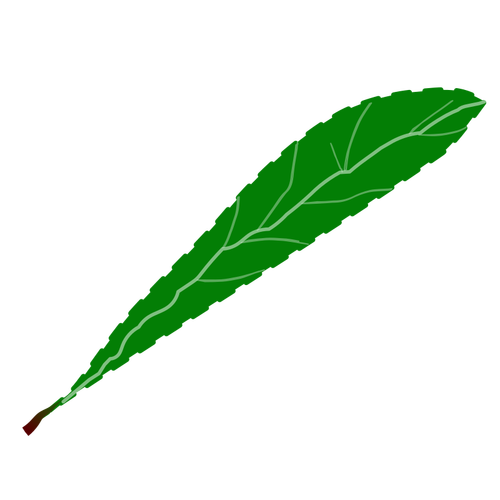 Grønne petal