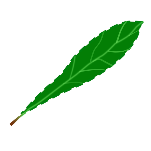 Leaf petal