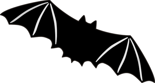 Černý netopýr