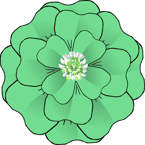 Zelený květ