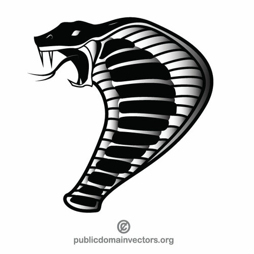 Cobra slang vectorafbeeldingen