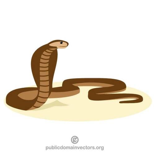 Serpente cobra